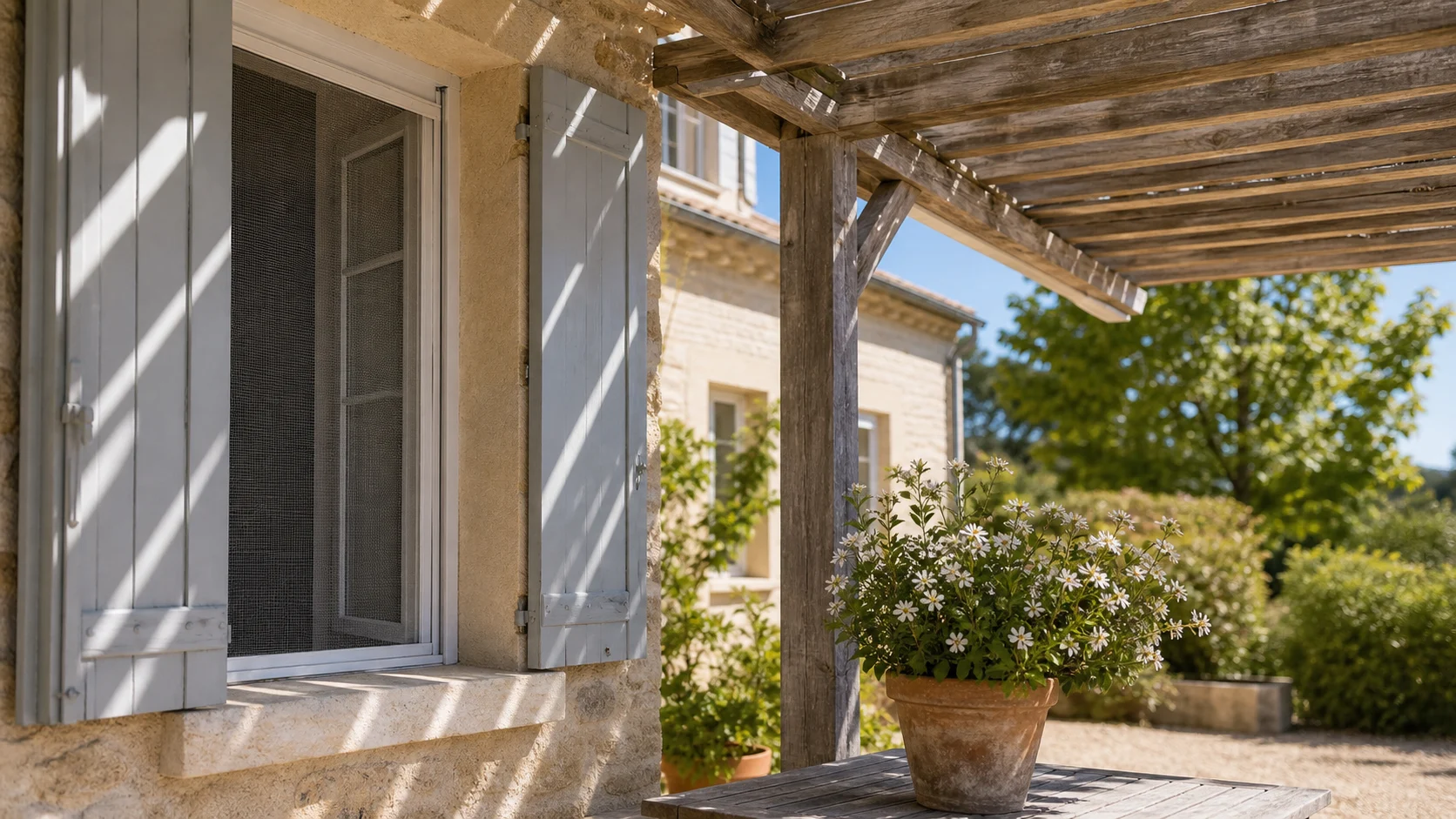 Pergola et fenêtre pouvant attirer un gros insecte noir volant